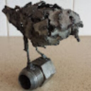 Meet your Posher, Electronicant